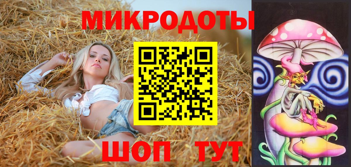 Псилоцибиновые грибы Psilocybine cubensis Кунгур